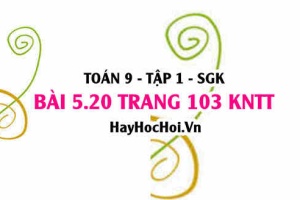 Bài 5.20 Toán 9 tập 1 SGK Kết nối tri thức